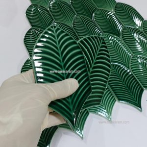 کاشی فیکوس