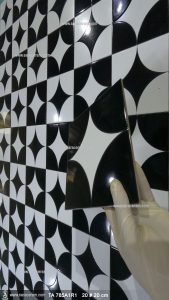 سرامیک سفید مشکی کف