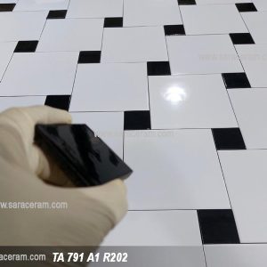TA791A1R202